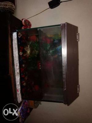 Fish tank with 4 fish and new oxygen machine..