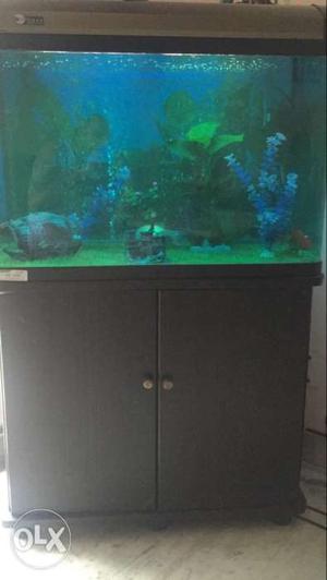Fish tank with all necessary accessories like