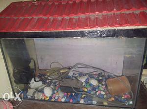 Fish tank with equipments