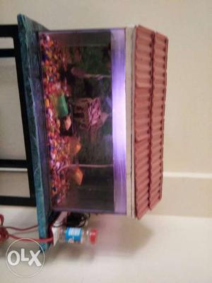Fish tank with filter, oxygen supplier, & stand