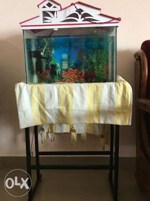 Fish tank with stand and accessories