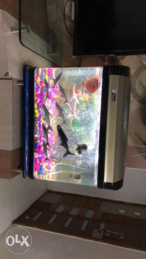 Good condition imp fish tank 2fit x2ft with out fish