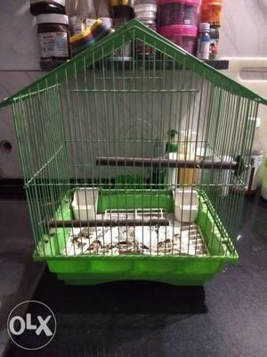 Green Wired Pet Cage