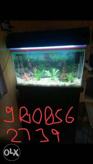 I want to sale my New Aquarium.. with Wooden