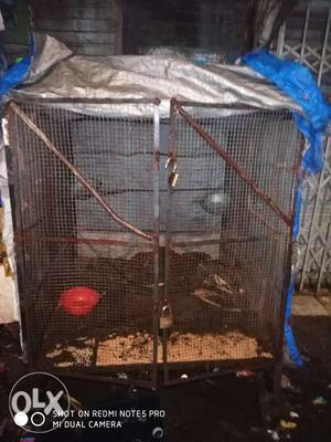 I want to sell my pet cage it is very useful for