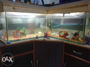 L type fish tank with all accessories