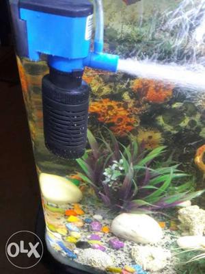 Mini fish bowl and fish tank filter