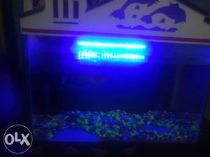 New Big fish tank with top roof + motor+ stones+