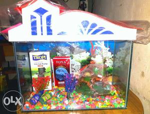 New complete fish aquarium fully acceseriese with 7 fish