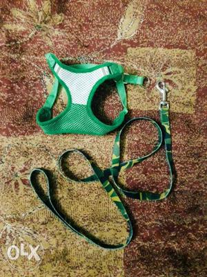 Pets belt for sale. Suitable for Puppy and