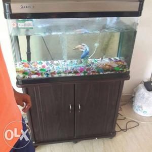 Rectanguglar Clear Fish Tank