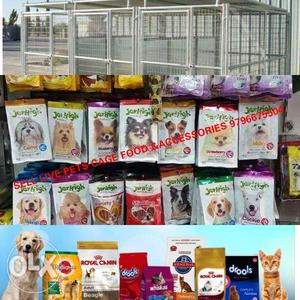 Sell Live Pets Cage,food,& Accessories Jammu