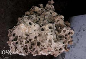 Stone and rocks for aquarium per kgs