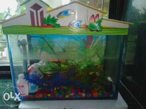 White And Green House Print Fish Tank