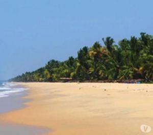 Kerala Package – Alleppey | Kochi | Munnar – Kerala New