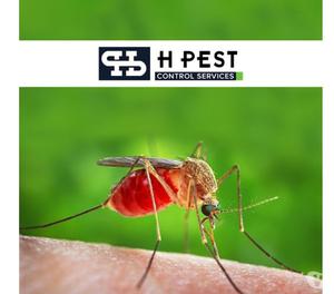 professional Pest Control services Hyderabad
