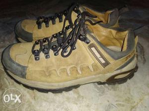 Brown Hiker Shoes