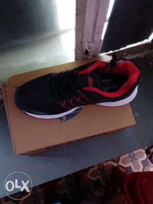 Red And Black Low-top Sneaker With Box