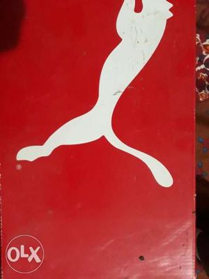 Red PUMA Shoe box New puma shoe only one time used Size -8