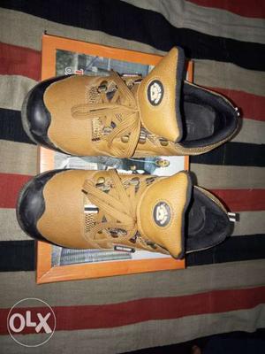 Wood chief new shose