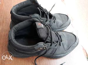 Black Color Sports Shoe in excellent condition.
