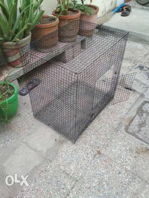 Black Steel Cage For All Type of birds