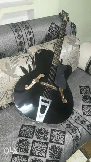Brand New Master Guitar with bag, Price will be
