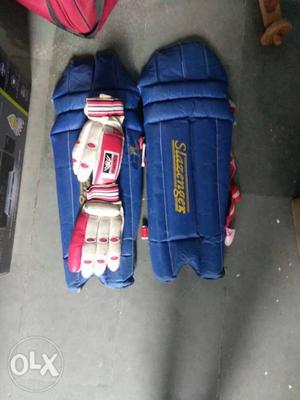 Cricket set with batting leg pads and gloves