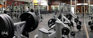 Gym & fitness equipment manufacturing