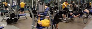 Low price par gym supply all india
