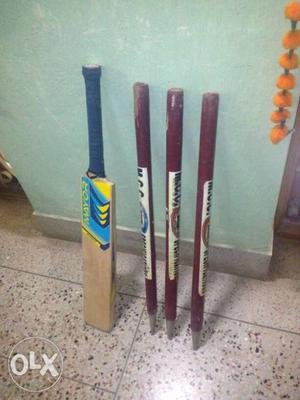 A mayor bat and wicket in good condition