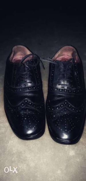 Palomino Italy smart shoe. i am selling because i