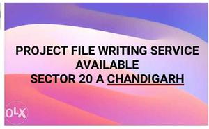 Project File Writing Service Text On Pink Background
