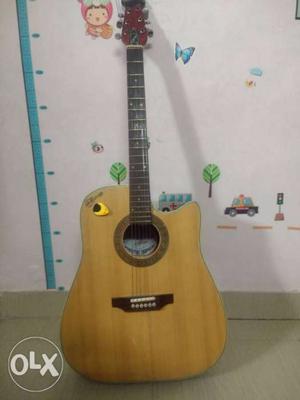 Rosewood full size jumbo guiter