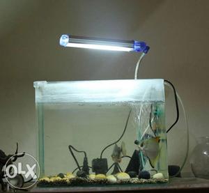1 feet aquarium with fishes and accessories