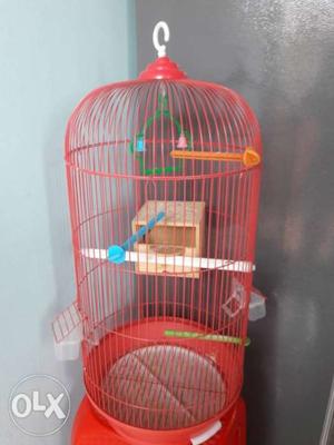 2 months old bird cage for sale with breeding box