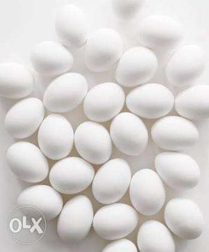 25 eggs... nice quality eggs...