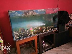 3 feet aquarium ossam 6 months old only include 2