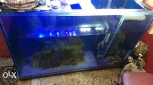 4 feet Marine Fish Tank
