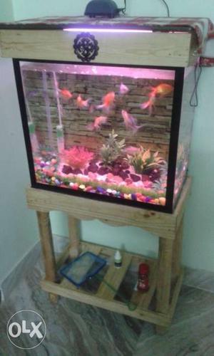 6 months old Fish tank with stand, top cover and