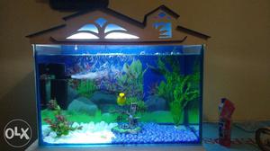 6mm Aquram Fish tank,filter and led light arjunt