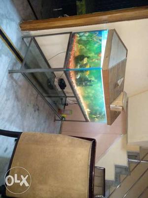 Aquarium 21inch *60inch with stain less steal