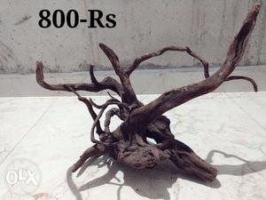 Aquarium driftwood for sale,you can make nice