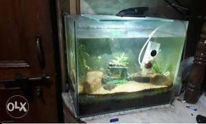 Aquarium for home or office