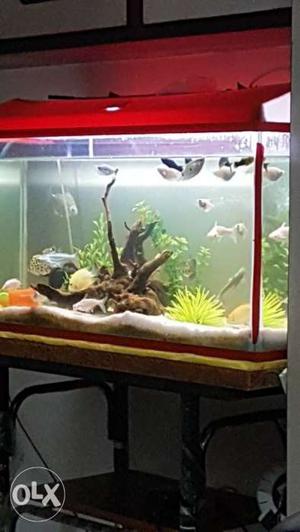 Aquarium tank stand f