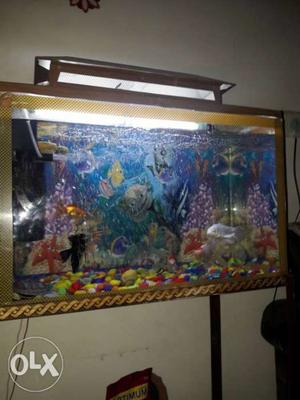 Aquarium with top cover size 12by24