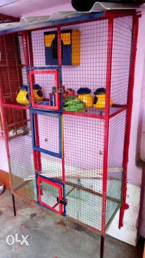 Cage at very very low price.Fully colorful with all