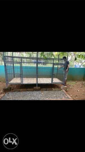 Dog cage available Big one 2 slotts available