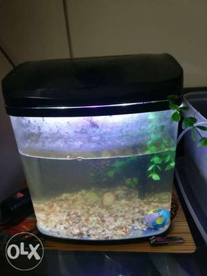 Fish Aquarium with Led and automated filter for