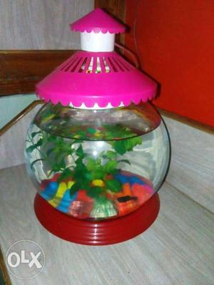 Fish Bowl With Red Frame